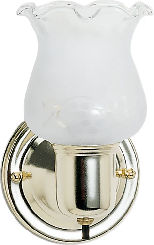 1 Light - 5" - Vanity - w/Frosted Grape Shade & On/Off Switch