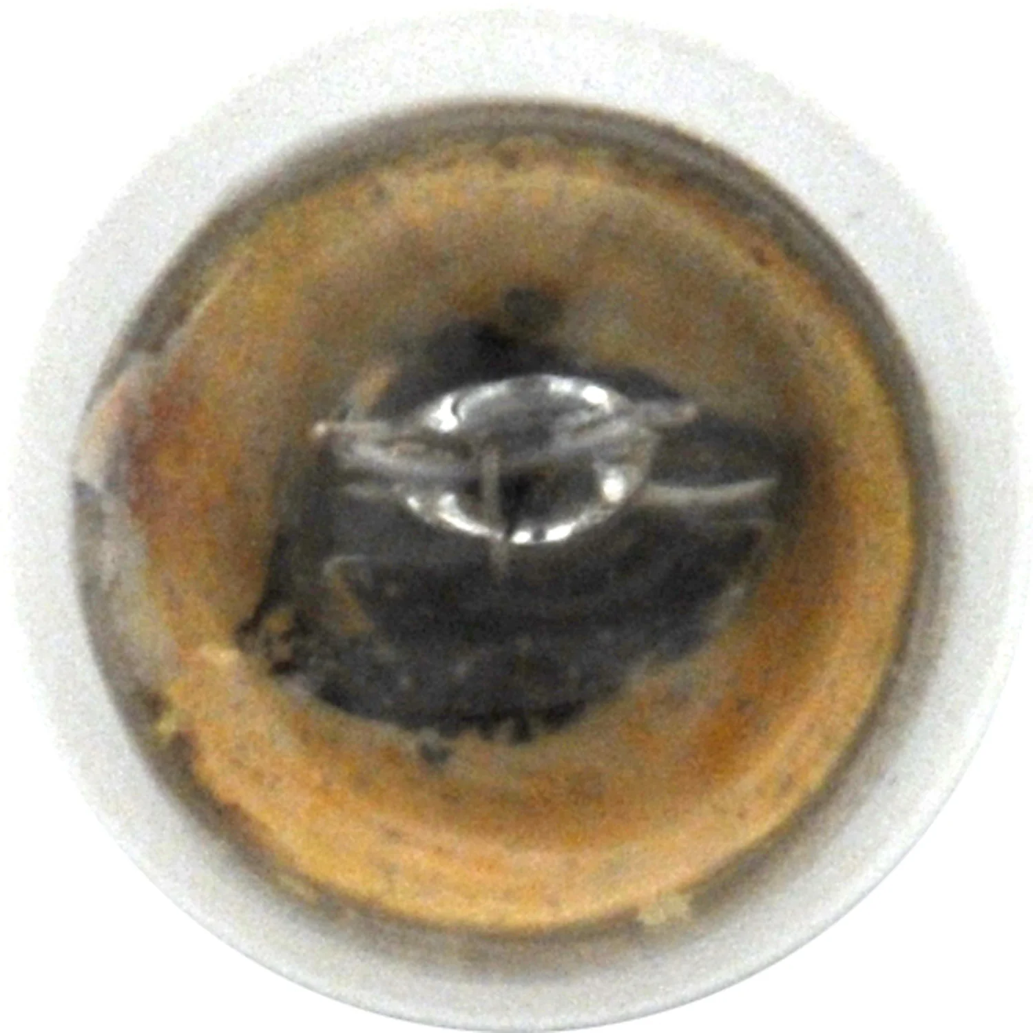 10-PK SYLVANIA 97 Standard Automotive Light Bulb - Image 4