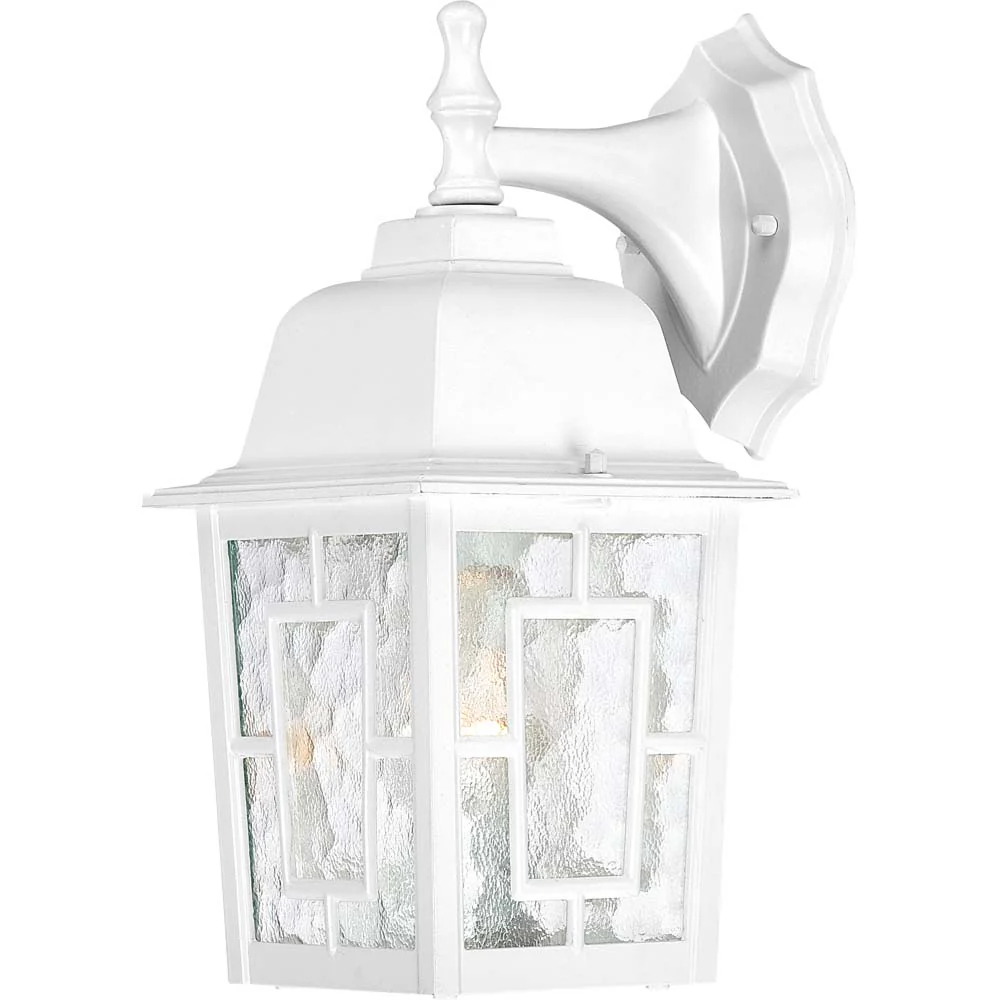 Nuvo Banyon 1-Light 12" 100w Wall Light w/ Clear water Glass in White Finish