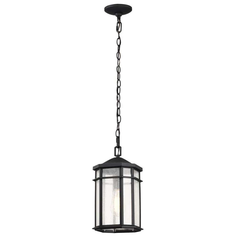 Raiden Outdoor 14.5-in Hanging Light Matte Black Finish w/ Clear Seedy Glass