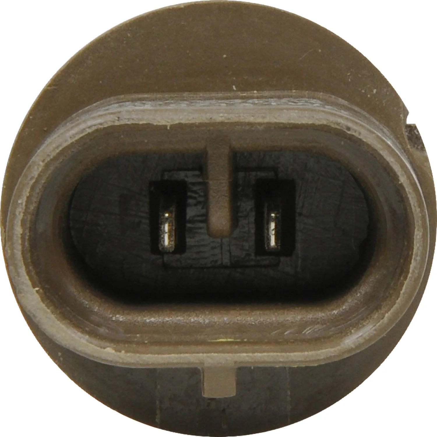SYLVANIA 885 Standard Fog Automotive Bulb - Image 7