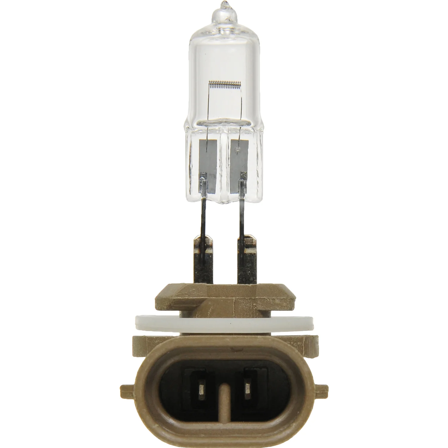 SYLVANIA 894 Standard Fog Automotive Bulb - Image 5